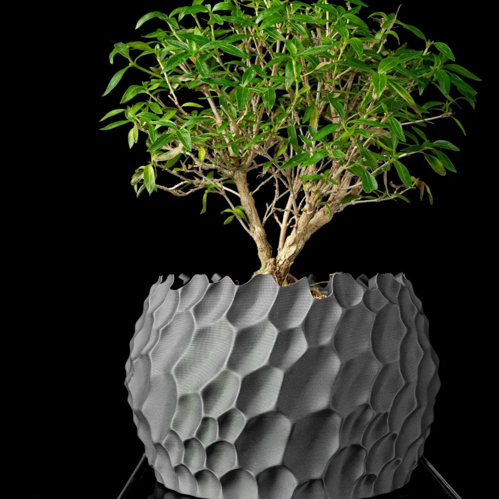 Aloe Vera Pot - Textured Flower Pot Irregular Rough Edge