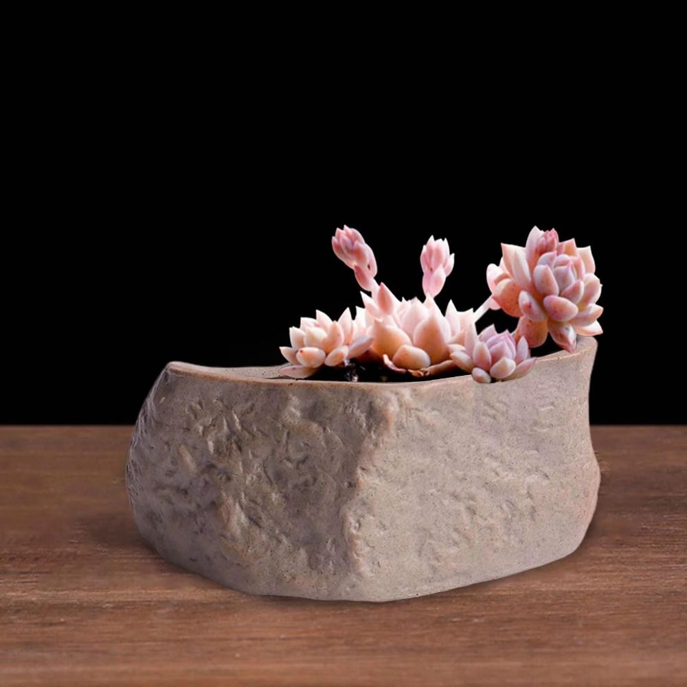 Ceramic Succulent Plant Pots S - огляд і ціна Aloe Vera Pot