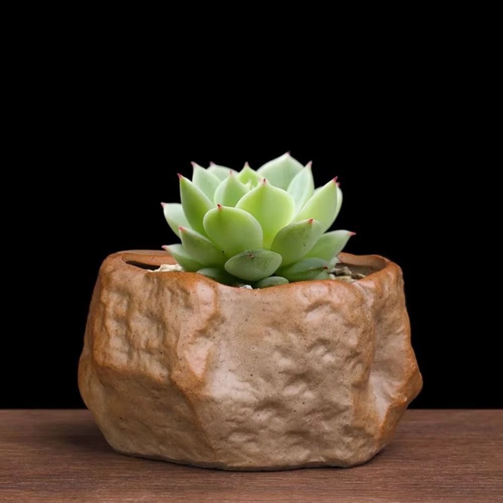 Ceramic Succulent Plant Pots S - огляд і ціна Aloe Vera Pot