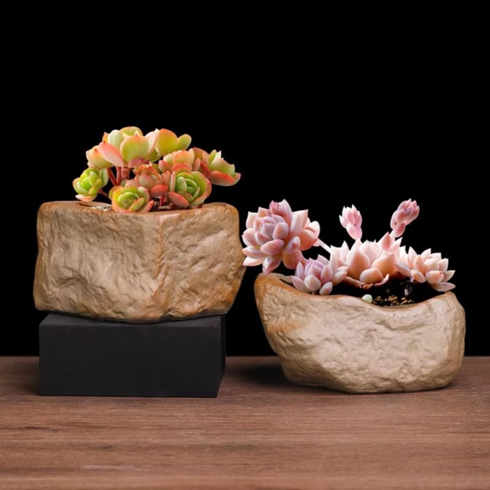 Ceramic Succulent Plant Pots S - огляд і ціна Aloe Vera Pot