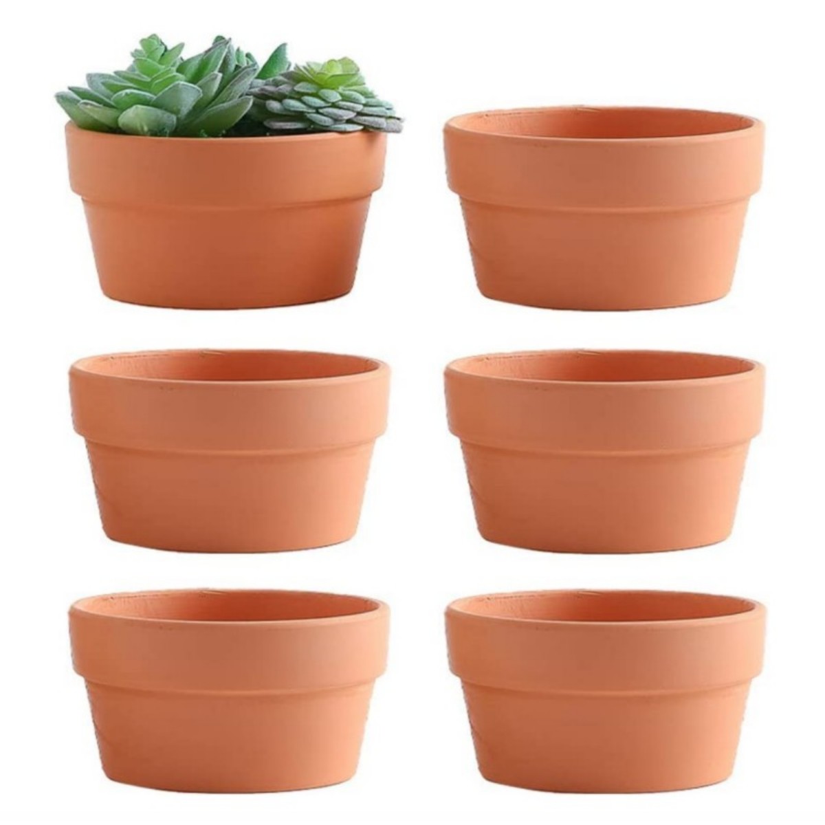 6 PCS Terracotta Buld Pots 3.5 - огляд і ціна Aloe Vera Pot