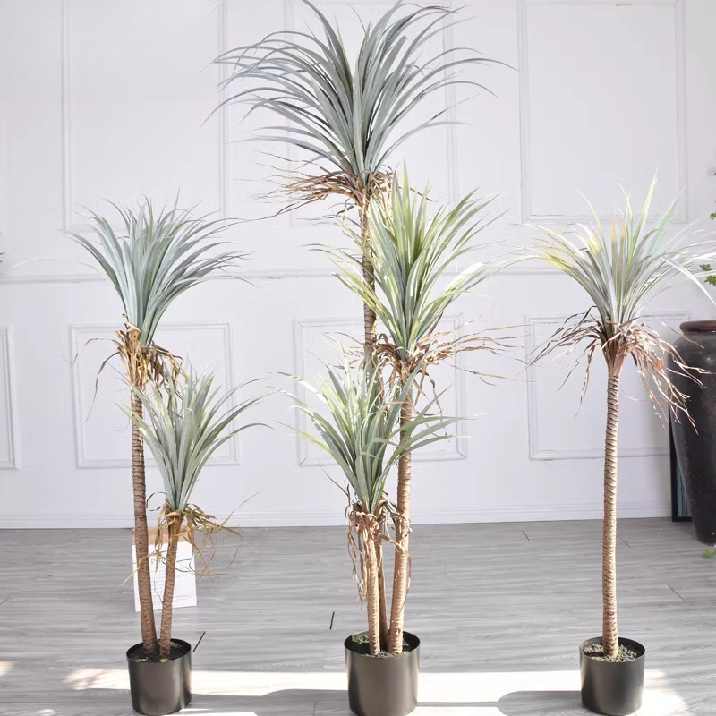 Dragon Blood Yucca Artificial  - огляд і ціна Dracaena Marginata