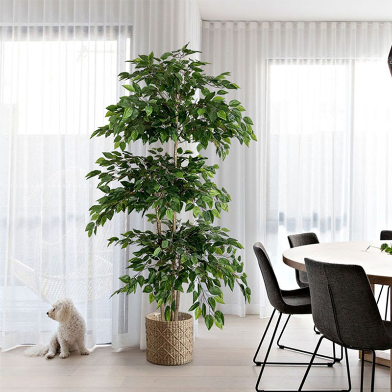 70in Ficus Artificial Tree Lar - огляд і ціна Ficus Lyrata Tree
