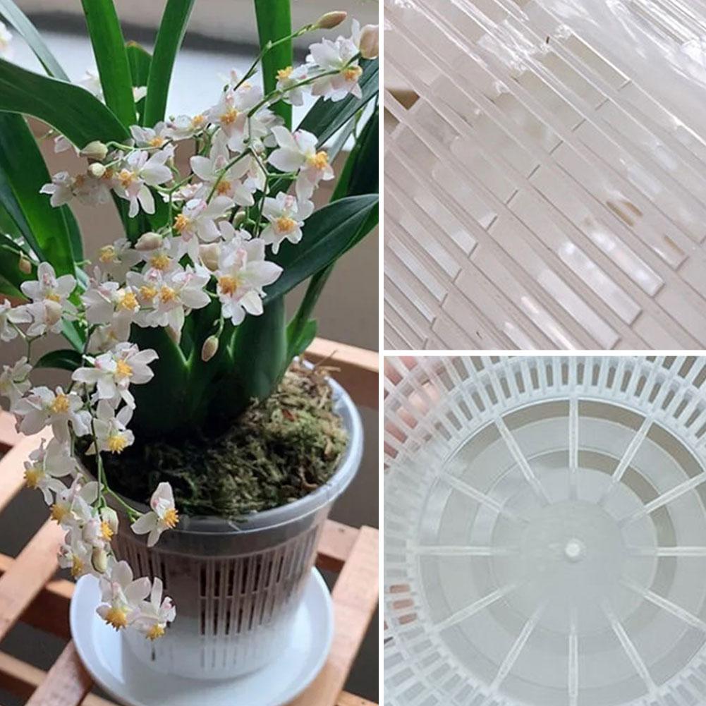Mesh Pot Root Control Transpar - огляд і ціна Aloe Vera Pot