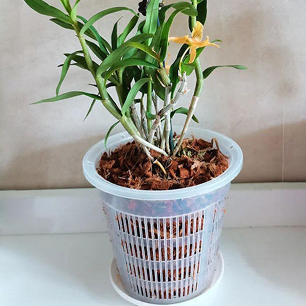 Mesh Pot Root Control Transpar - огляд і ціна Aloe Vera Pot