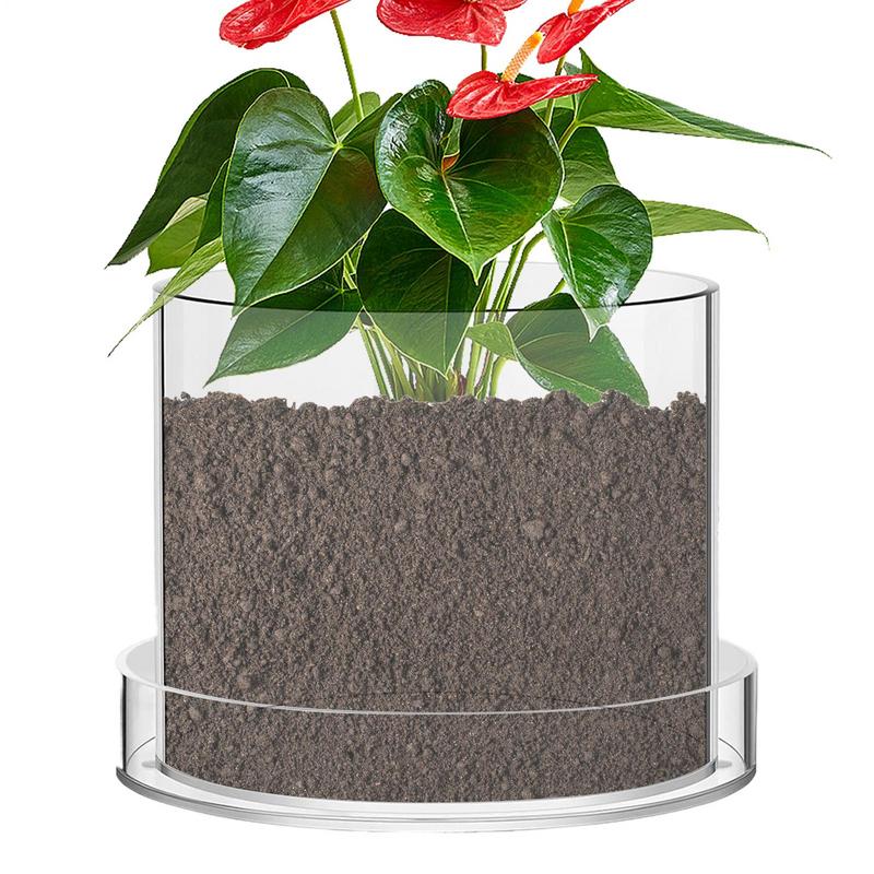 Clear Plant Pots With Drainage - огляд і ціна Aloe Vera Pot