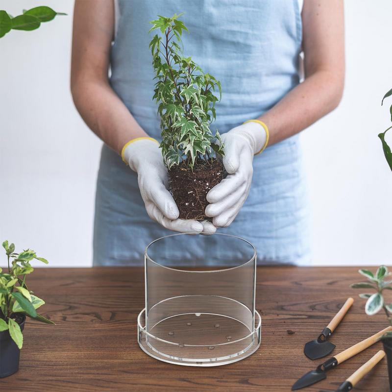 Clear Plant Pots With Drainage - огляд і ціна Aloe Vera Pot