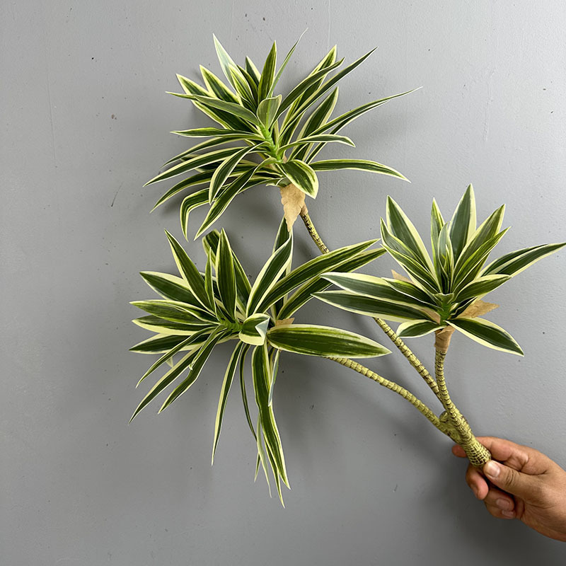 Simulated Green Plants 3 Heads - огляд і ціна Dracaena Marginata