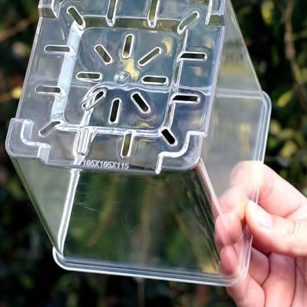 Transparent Material Acrylic P - огляд і ціна Aloe Vera Pot