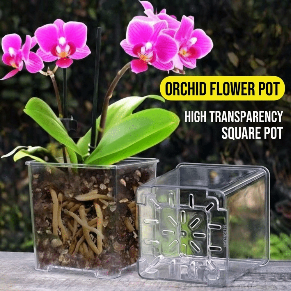 Transparent Material Acrylic P - огляд і ціна Aloe Vera Pot